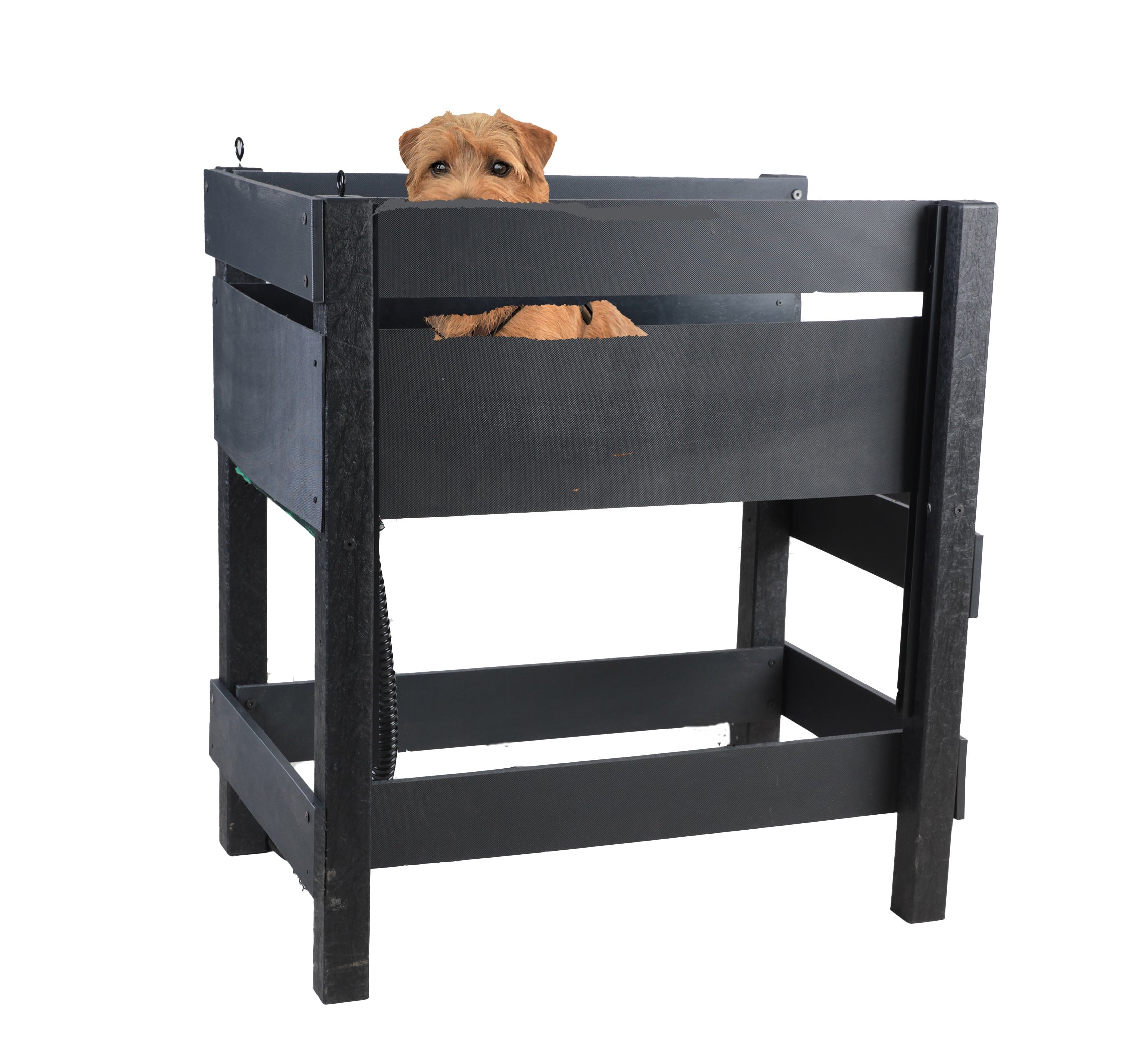 Stanley Dog Cleaning Station
