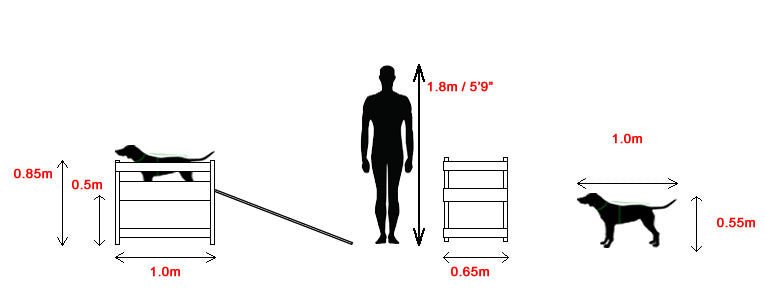 Hawthorne Dog Cleaning Station