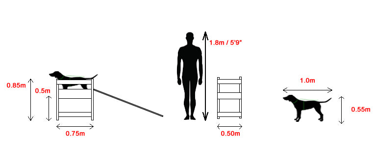 Stanley Dog Cleaning Station